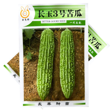 长玉3号苦瓜种子早熟耐寒抗病肉厚腔小苦味适中大田基地用