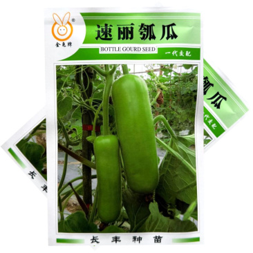 速丽瓠瓜种子早熟杂交短瓠种籽短圆筒形头尾匀称大田基地用