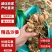 化州沙姜，大量新鲜现货速发，产品保质保量，欢迎选购
