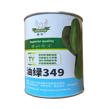 油绿349青梗菜种子深绿油亮耐热抗病速生基地油菜种子