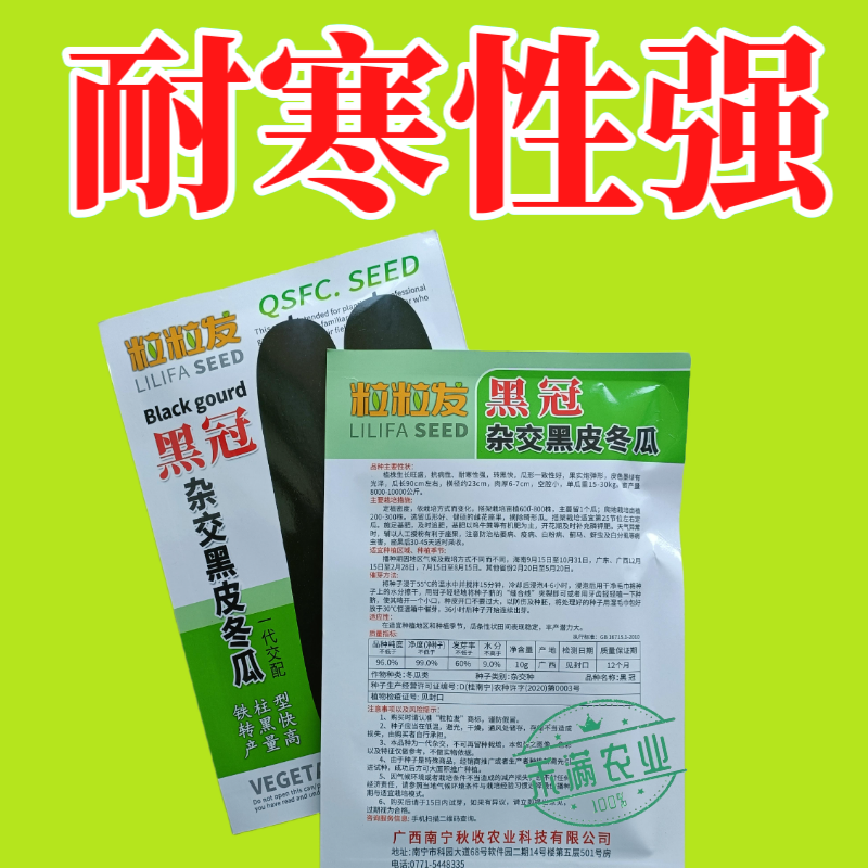 黒冠杂交黑皮冬瓜种子广东广西特大巨型高产铁柱型黑皮冬