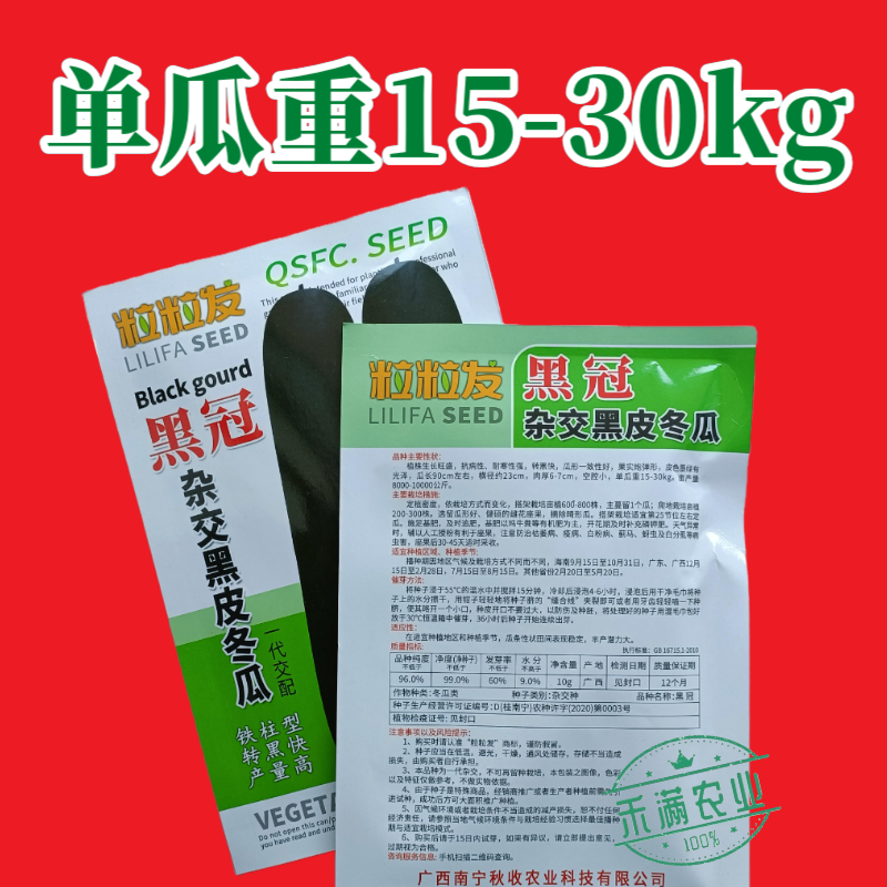 黒冠杂交黑皮冬瓜种子广东广西特大巨型高产铁柱型黑皮冬