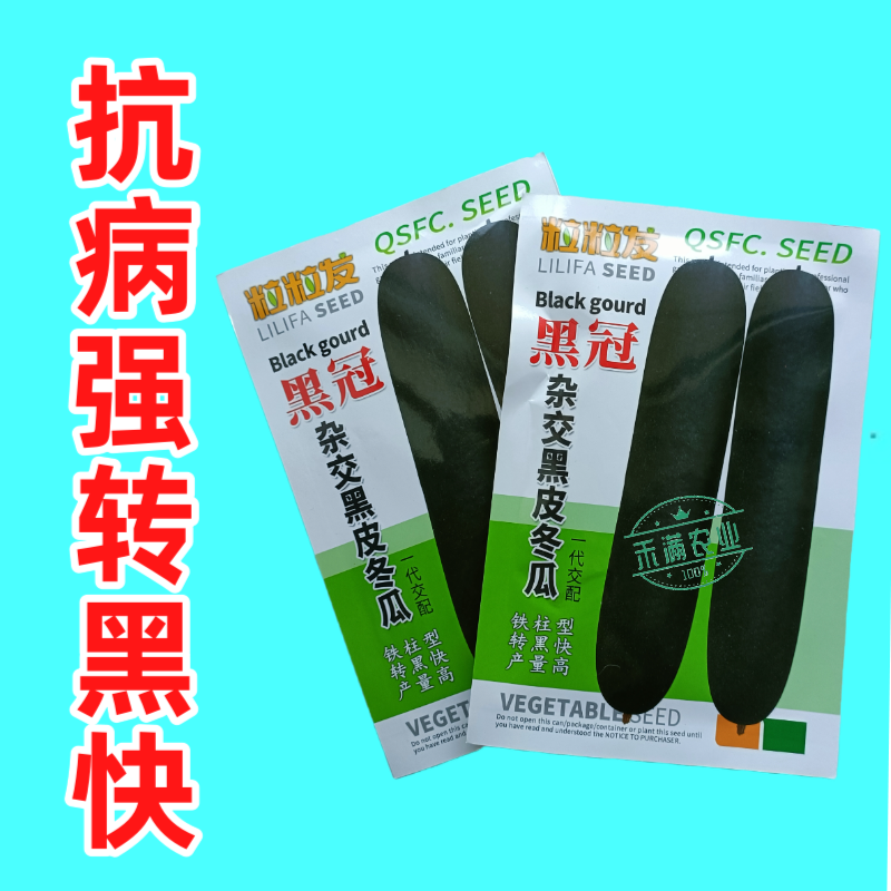 黒冠杂交黑皮冬瓜种子广东广西特大巨型高产铁柱型黑皮冬