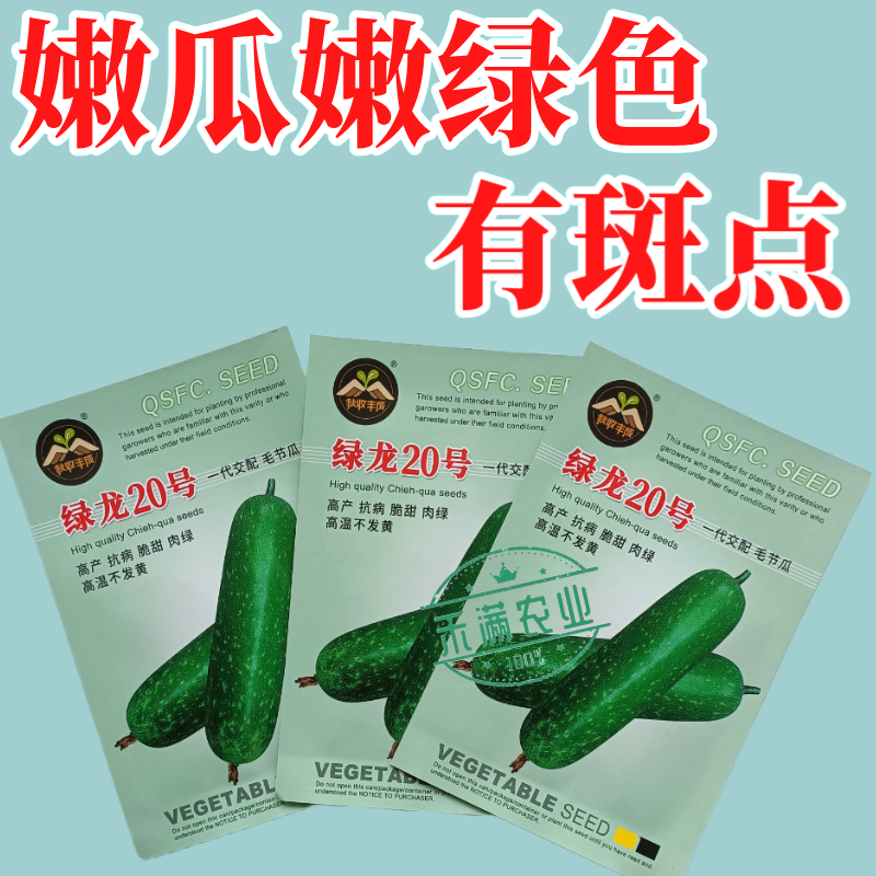 【广东毛节瓜】早熟杂交高产毛节瓜种子抗病强结瓜多脆甜可口
