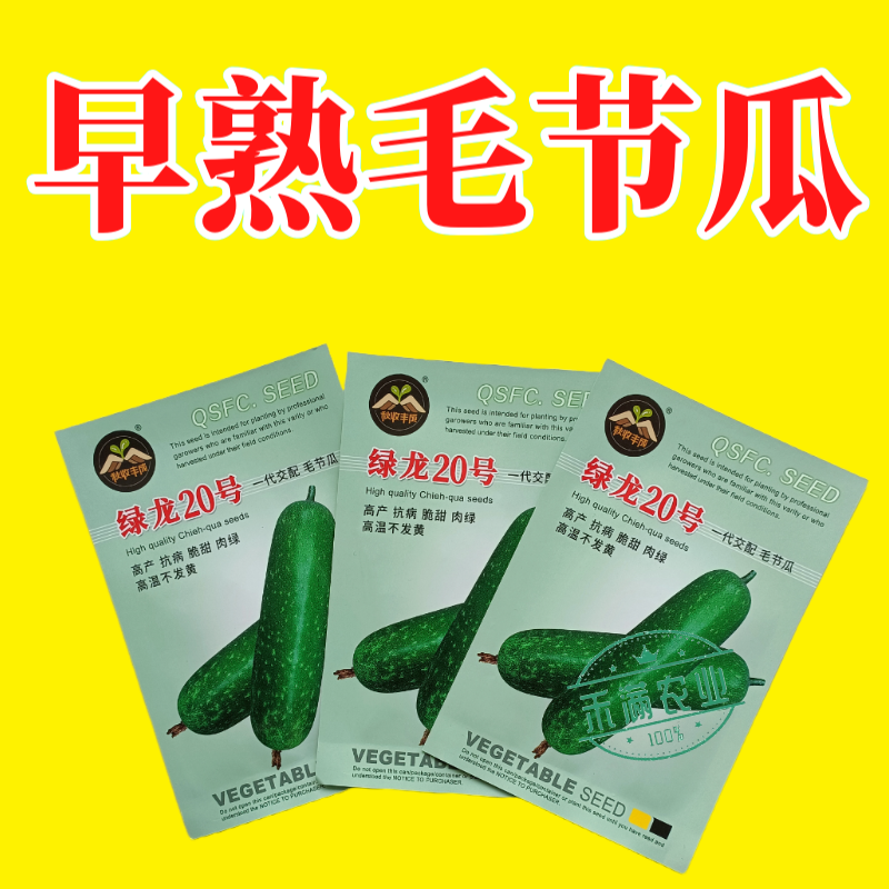 【广东毛节瓜】早熟杂交高产毛节瓜种子抗病强结瓜多脆甜可口