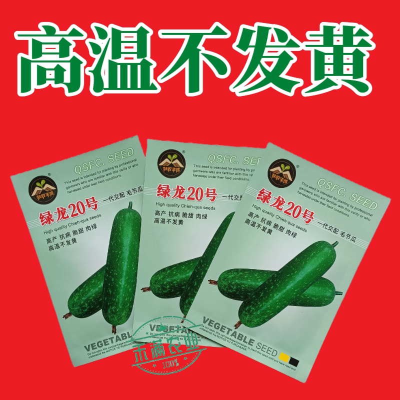 【广东毛节瓜】早熟杂交高产毛节瓜种子抗病强结瓜多脆甜可口