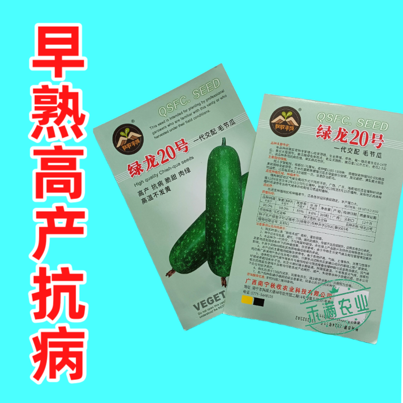 【广东毛节瓜】早熟杂交高产毛节瓜种子抗病强结瓜多脆甜可口