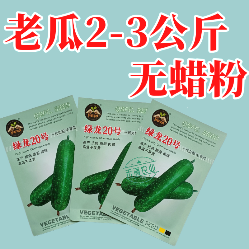 【广东毛节瓜】早熟杂交高产毛节瓜种子抗病强结瓜多脆甜可口