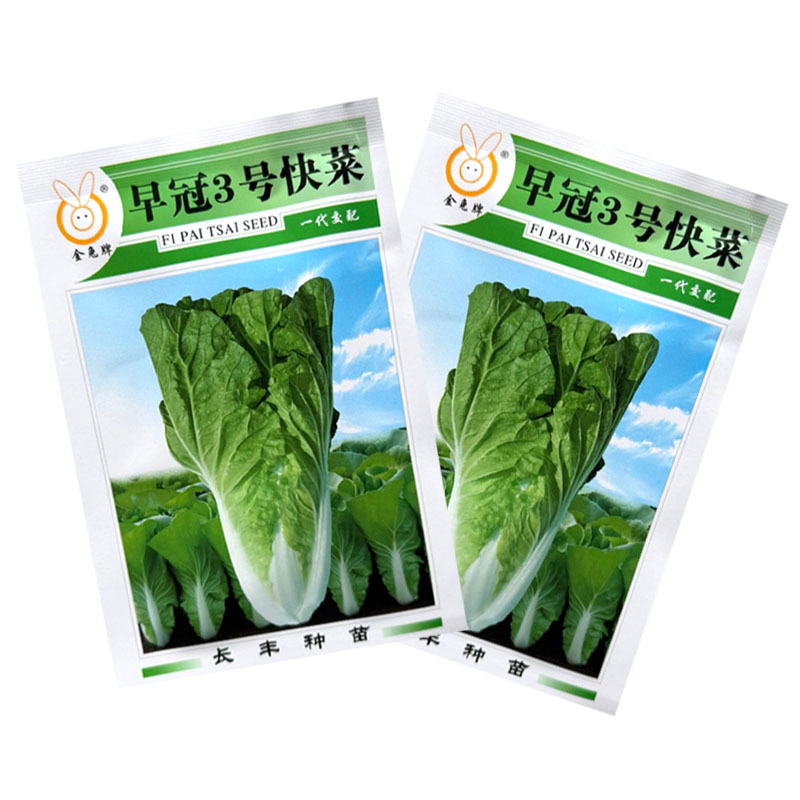 早冠3号快菜种子杂交小白菜种籽叶柄宽白生长速度快