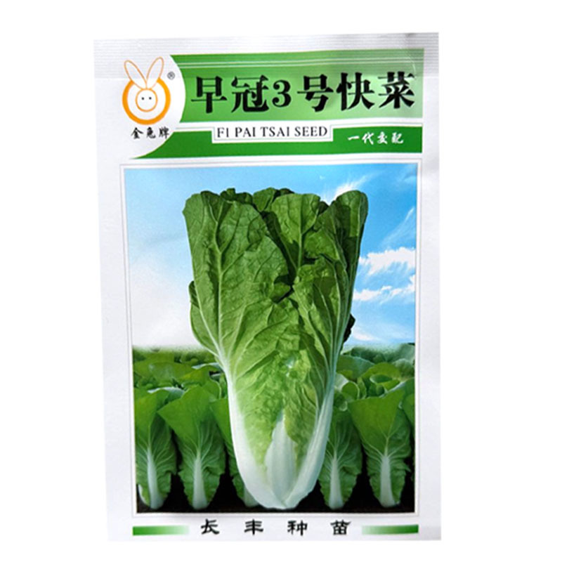 早冠3号快菜种子杂交小白菜种籽叶柄宽白生长速度快