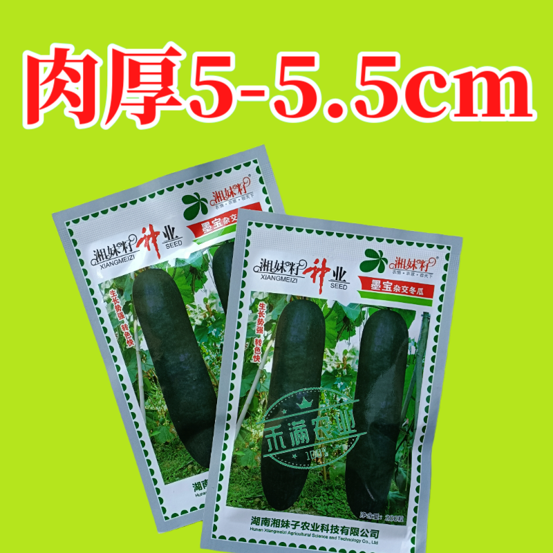 湘妹籽墨宝冬瓜种籽黑皮冬瓜种子高产特大冬瓜种孑一代杂交耐