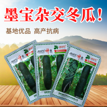 湘妹籽墨宝冬瓜种籽黑皮冬瓜种子高产特大冬瓜种孑一代杂交耐