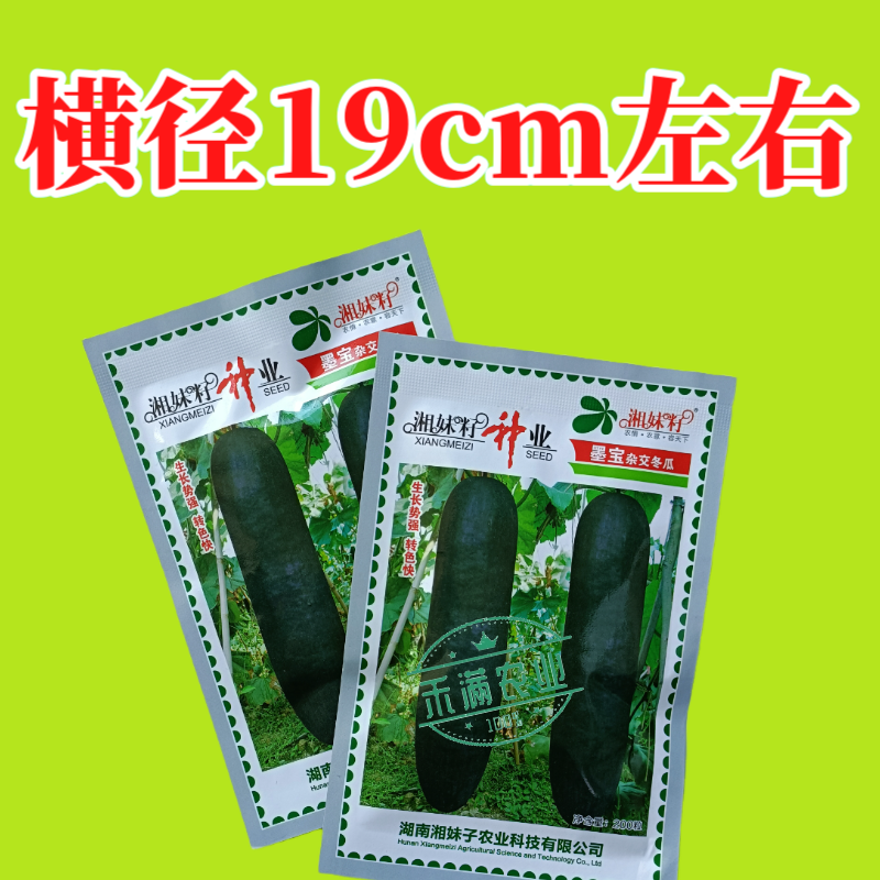 湘妹籽墨宝冬瓜种籽黑皮冬瓜种子高产特大冬瓜种孑一代杂交耐