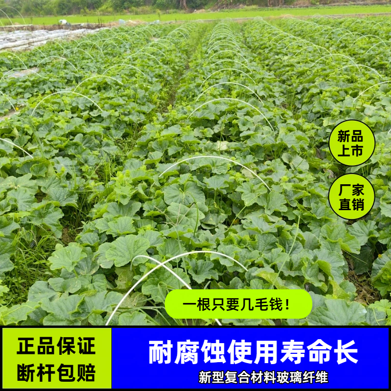 【降价处理】轻强韧·防锈耐用玻璃纤维农用拱棚杆