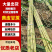 云南黄皮甘蔗大量现货供应，甘甜多汁，品质保证，实力代办