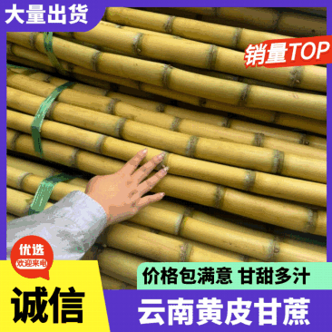 黄皮甘蔗云南甘蔗，产地一手货源，规格齐全，视频看货