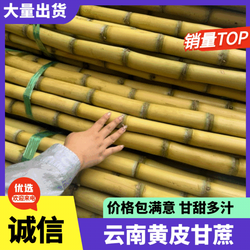 黄皮甘蔗云南甘蔗，产地一手货源，规格齐全，视频看货