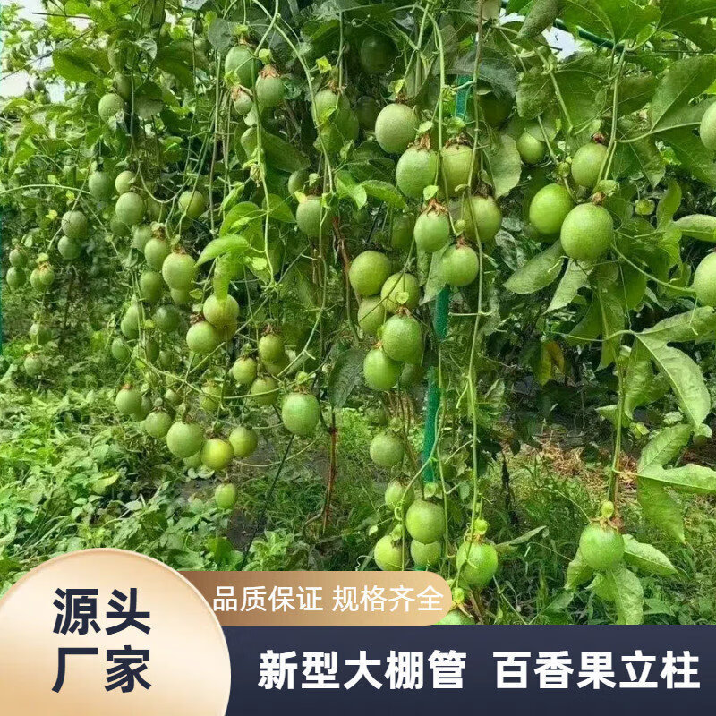 【降价了】玻璃纤维拱棚立柱防锈防腐蚀垂直支撑杆大棚加固
