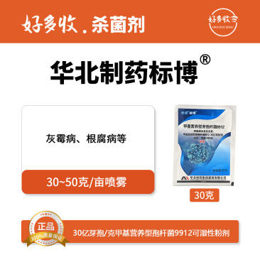 华北制药爱诺标博991230亿芽孢/克可湿性粉剂