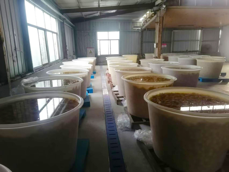 山东金乡25年新蒜酱腌菜腌大蒜泡蒜头盐蒜可做糖蒜糖醋蒜