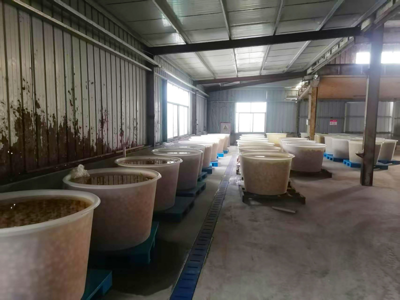 山东金乡25年新蒜酱腌菜腌大蒜泡蒜头盐蒜可做糖蒜糖醋蒜