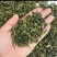 自产自销岩茶量大可议欢迎咨询
