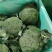 湖北当地西兰花/可视频看货/量大价优/欢迎咨询