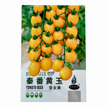 黄玉圣女果西红柿种子水果小果番茄甜度好结果多
