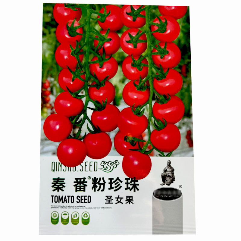 粉珍珠圣女果番茄种子水果小番茄籽早熟结果多园艺种植
