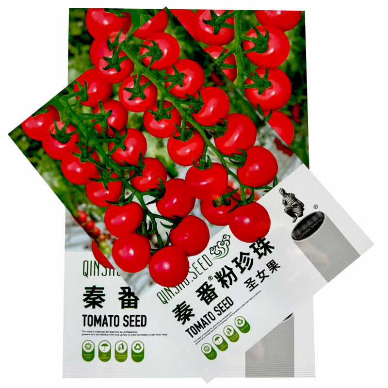 粉珍珠圣女果番茄种子水果小番茄籽早熟结果多园艺种植