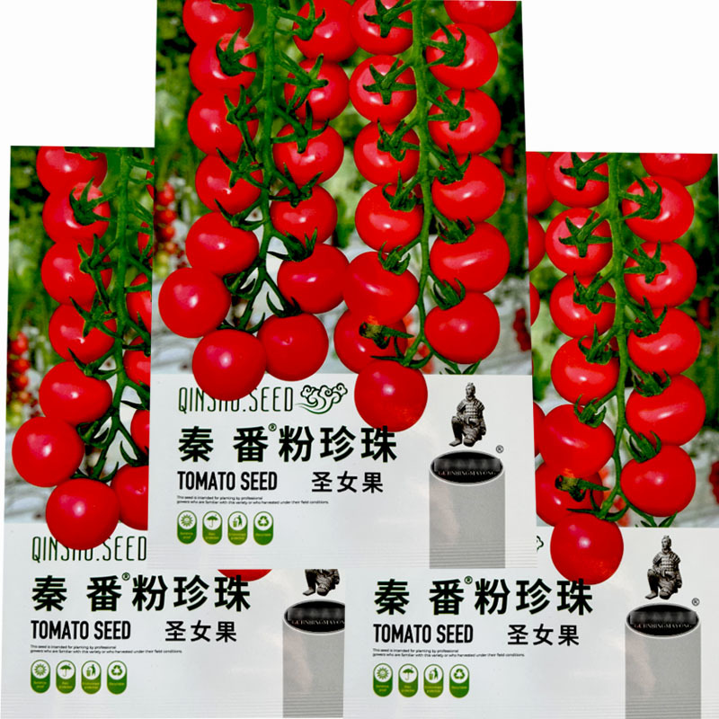 粉珍珠圣女果番茄种子水果小番茄籽早熟结果多园艺种植