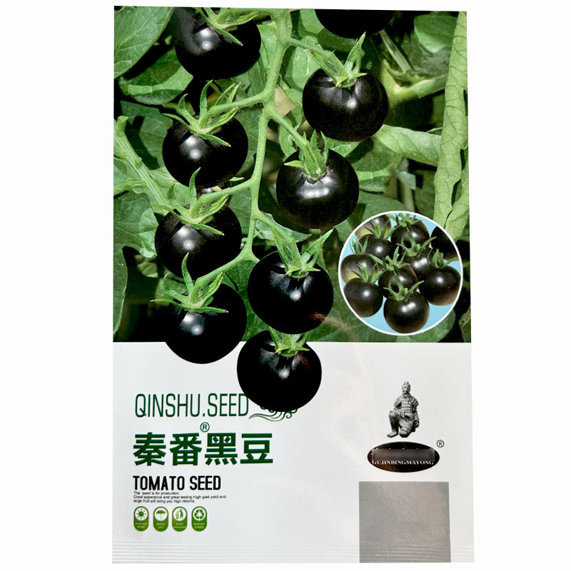 黑豆圣女果番茄种子水果小番茄口感好适合採摘园