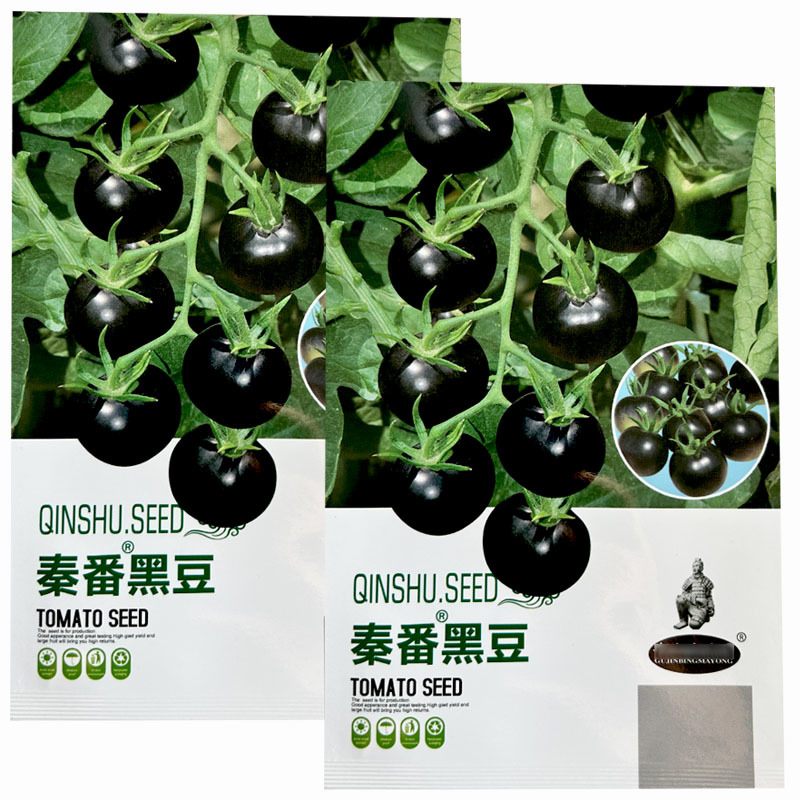 黑豆圣女果番茄种子水果小番茄口感好适合採摘园