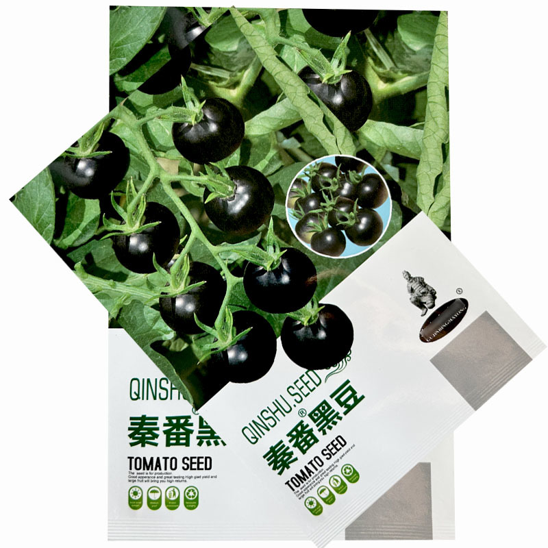 黑豆圣女果番茄种子水果小番茄口感好适合採摘园