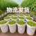 山东青甜小番茄产地直批不转手商超供货新鲜有保障