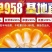 甘肃张掖一手货源郑单958玉米杂交种国审品种支持到厂考察