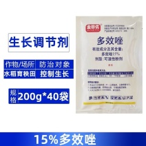金田优15%多效唑水稻育秧田控制生根生长农用生长调节剂整
