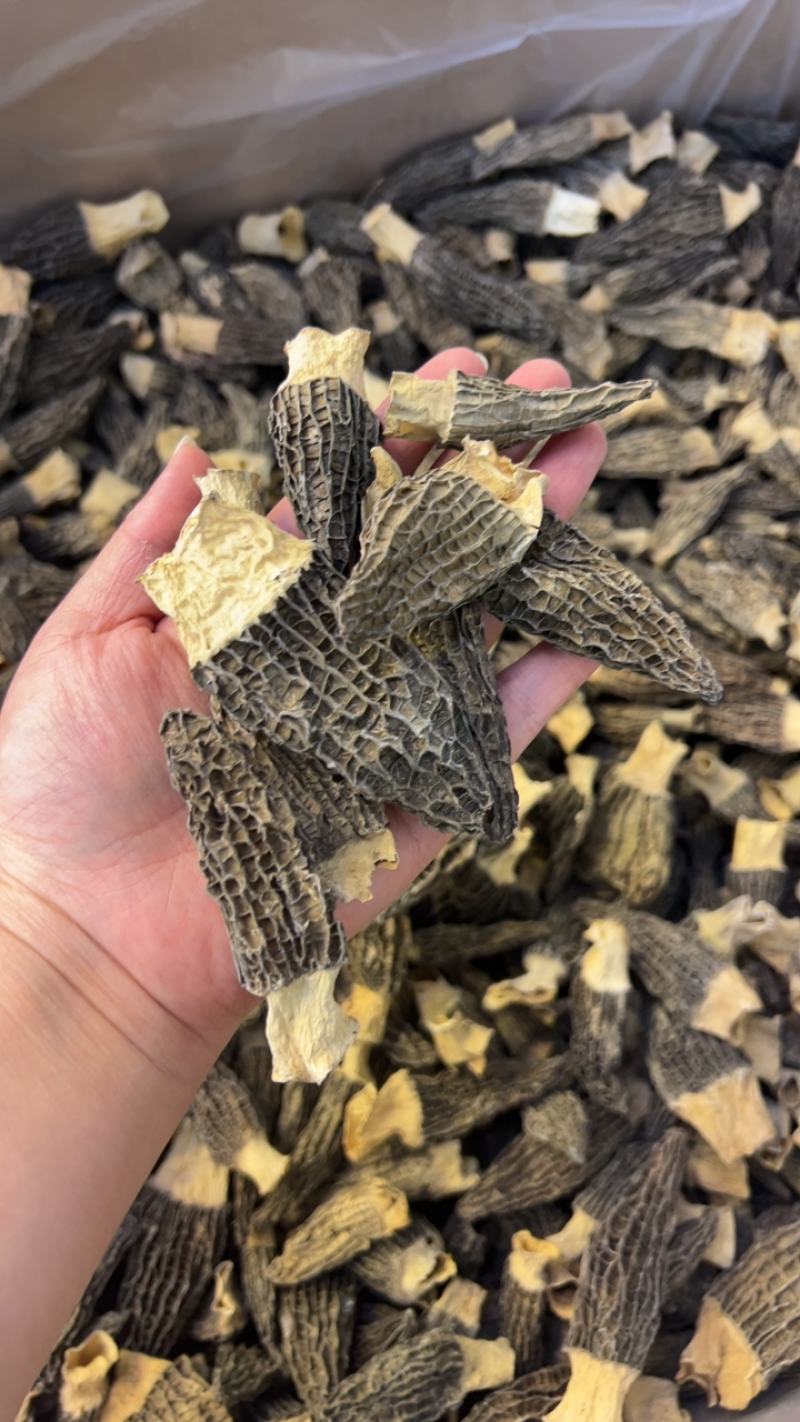 精品羊肚菌干货5-7细纹货788量大优惠，进店联系