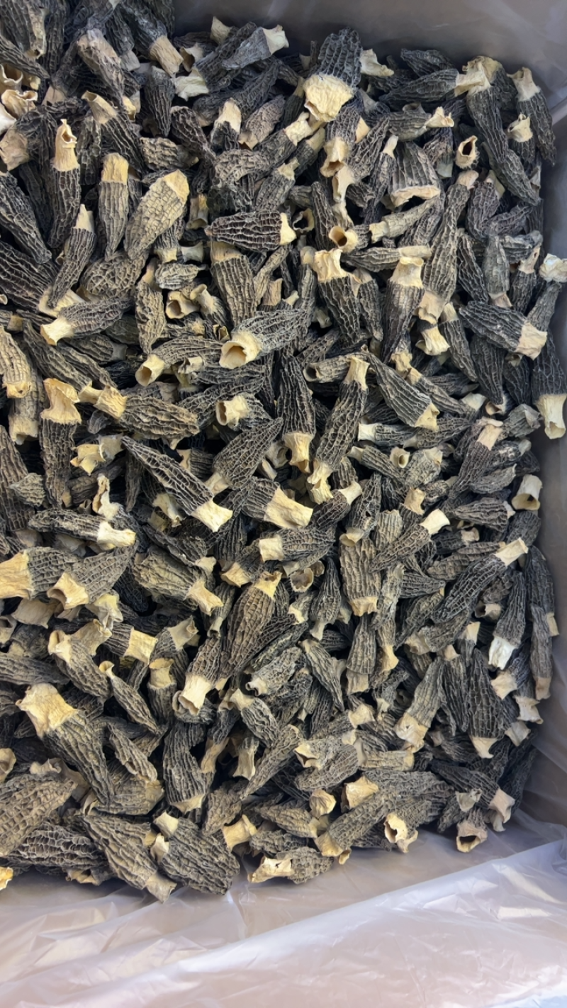 精品羊肚菌干货5-7细纹货788量大优惠，进店联系