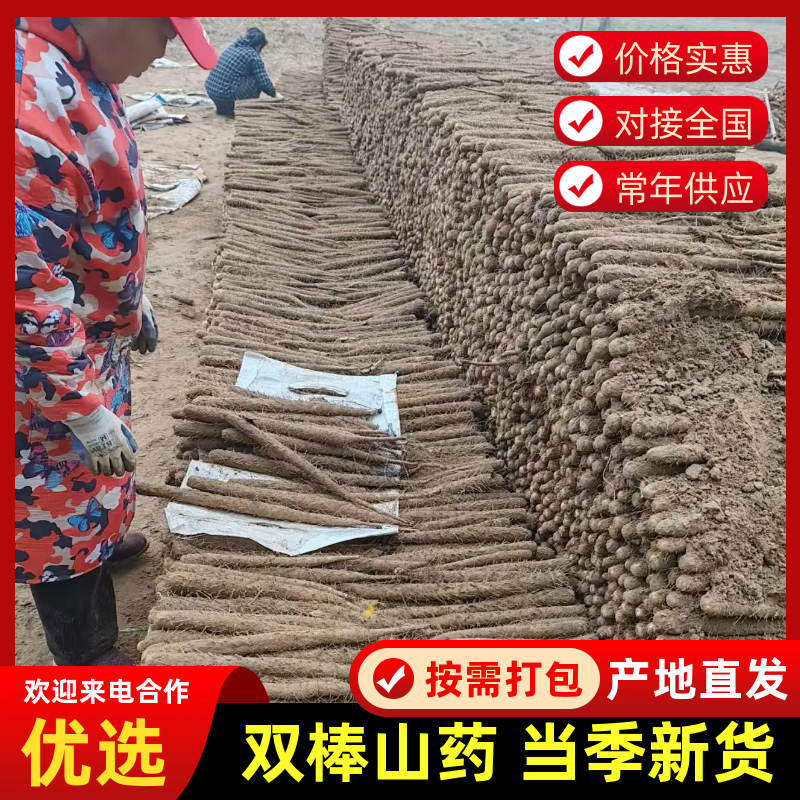 实力货源双棒山药质量保证规格齐全价格不等进店联系
