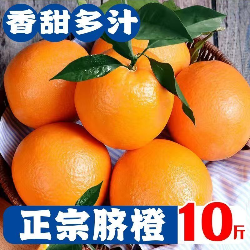 正宗赣南脐橙电商货支持一件代发
