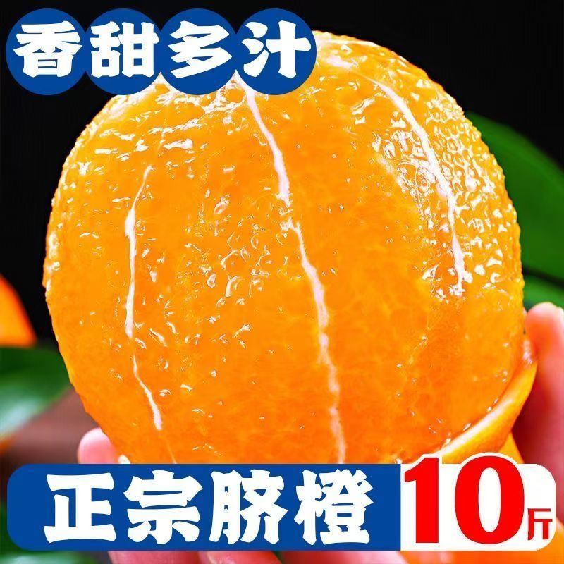 正宗赣南脐橙电商货支持一件代发