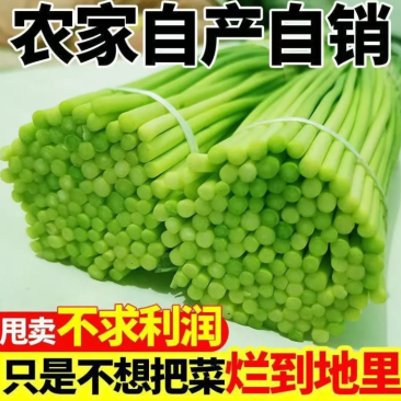 精品蒜薹主做电商一件代发