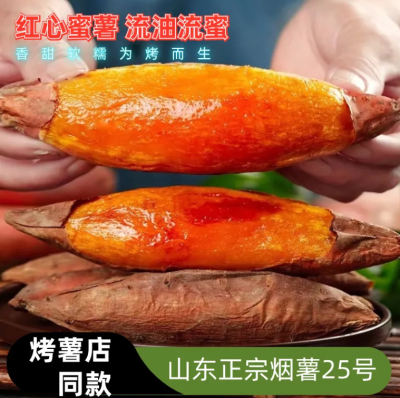 烟薯25正品各类薯类一件代发