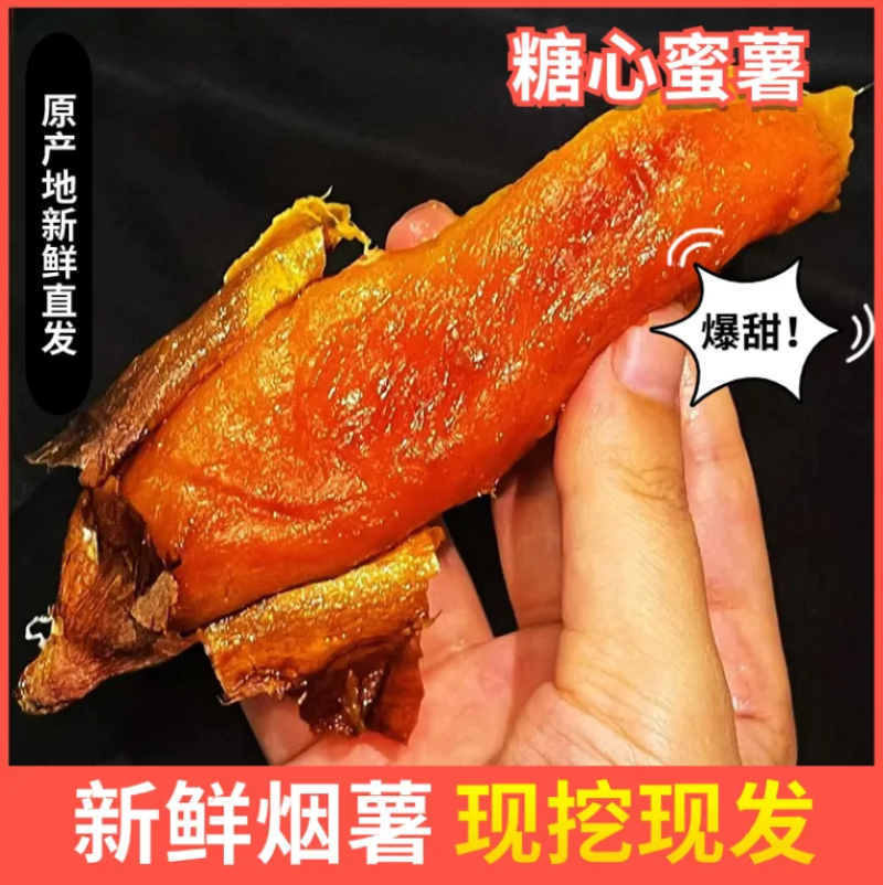 烟薯25正品各类薯类一件代发