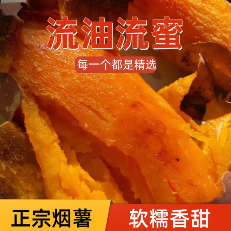 烟薯25正品各类薯类一件代发