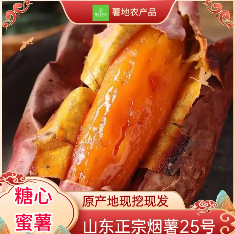 烟薯25正品各类薯类一件代发