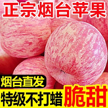 【只供电商】正宗红富士膜袋富士苹果一件代发