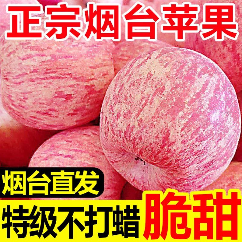 【只供电商】正宗红富士膜袋富士苹果一件代发