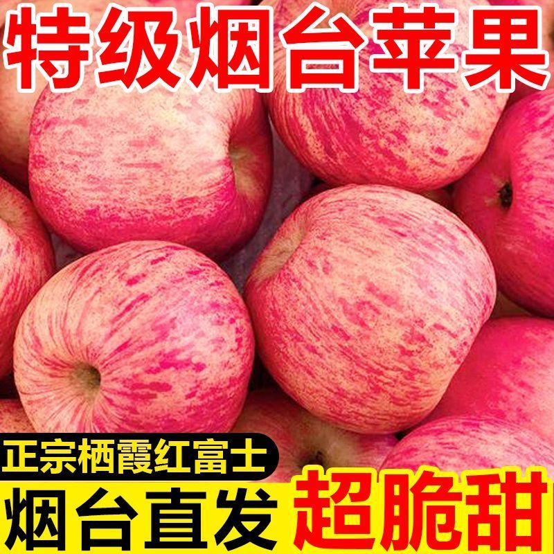 【只供电商】正宗红富士膜袋富士苹果一件代发